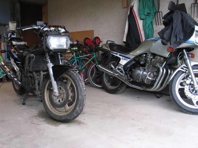 Strip Suzuki